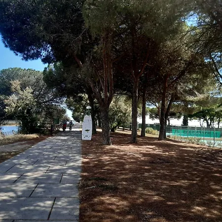 Confortable T2 לה גרנד מוט